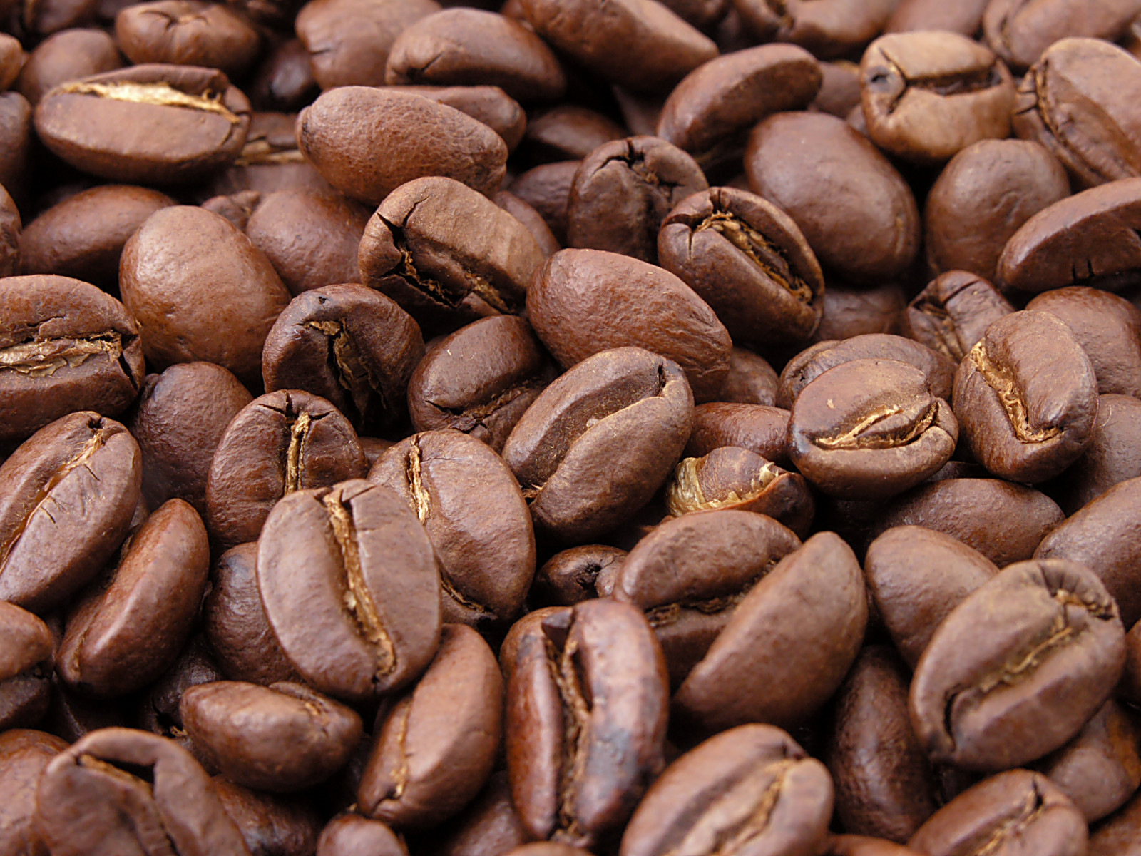 Wholesale — Midnight Decaf 1kg