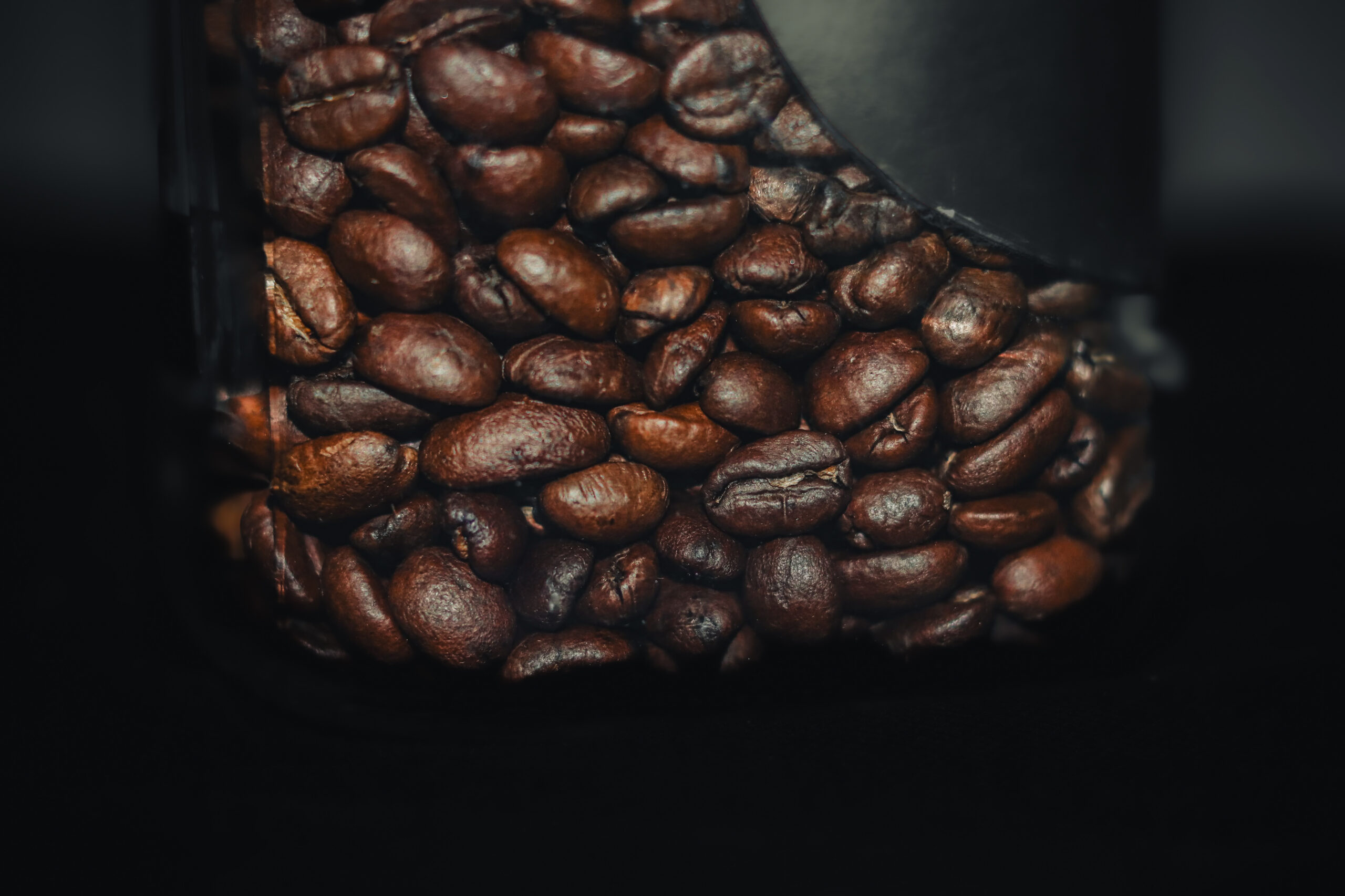 Midnight Decaf (Swiss Water) — 250g